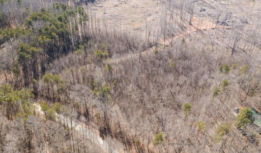 Photo #4 of Lot-B Lake Shore Drive & Lot-38B Oakwood Lane & Lot-17, Pointe Mayo Drive, Roxboro , NC 31.1 acres