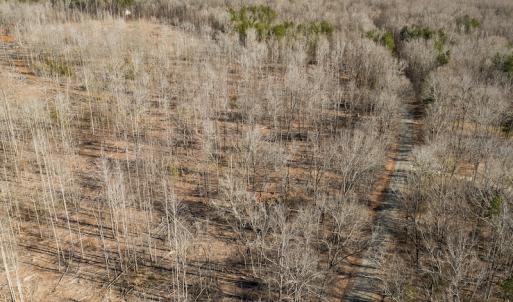 Photo #22 of Lot-B Lake Shore Drive & Lot-38B Oakwood Lane & Lot-17, Pointe Mayo Drive, Roxboro , NC 31.1 acres