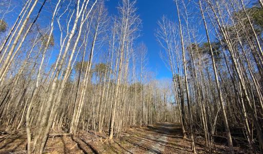 Photo #25 of Lot-B Lake Shore Drive & Lot-38B Oakwood Lane & Lot-17, Pointe Mayo Drive, Roxboro , NC 31.1 acres