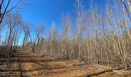 Photo #26 of Lot-B Lake Shore Drive & Lot-38B Oakwood Lane & Lot-17, Pointe Mayo Drive, Roxboro , NC 31.1 acres