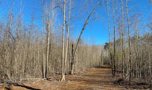 Photo #27 of Lot-B Lake Shore Drive & Lot-38B Oakwood Lane & Lot-17, Pointe Mayo Drive, Roxboro , NC 31.1 acres