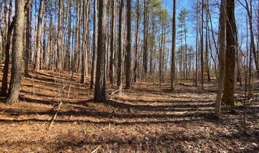 Photo #32 of Lot-B Lake Shore Drive & Lot-38B Oakwood Lane & Lot-17, Pointe Mayo Drive, Roxboro , NC 31.1 acres