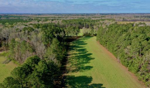 Photo #3 of SOLD property in OFF HWY 46, Garysburg, NC 138.8 acres