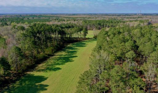 Photo #4 of SOLD property in OFF HWY 46, Garysburg, NC 138.8 acres