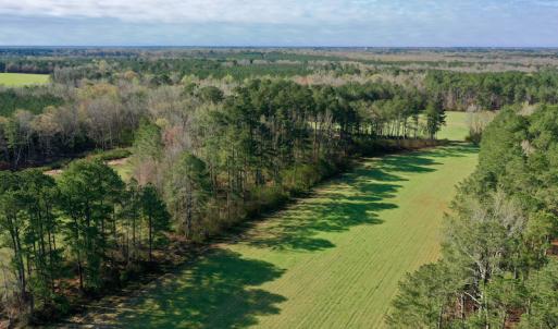 Photo #5 of SOLD property in OFF HWY 46, Garysburg, NC 138.8 acres