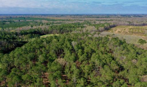 Photo #7 of SOLD property in OFF HWY 46, Garysburg, NC 138.8 acres