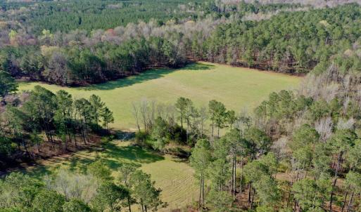 Photo #8 of SOLD property in OFF HWY 46, Garysburg, NC 138.8 acres
