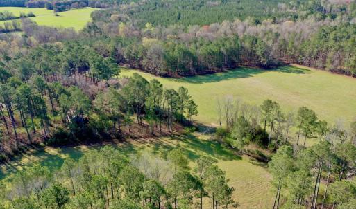 Photo #9 of SOLD property in OFF HWY 46, Garysburg, NC 138.8 acres