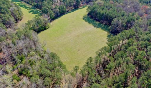 Photo #10 of SOLD property in OFF HWY 46, Garysburg, NC 138.8 acres