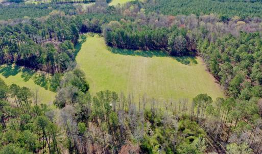 Photo #11 of SOLD property in OFF HWY 46, Garysburg, NC 138.8 acres