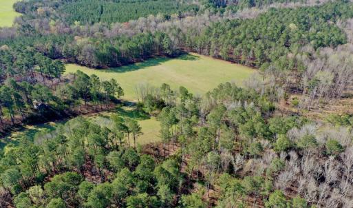 Photo #12 of SOLD property in OFF HWY 46, Garysburg, NC 138.8 acres