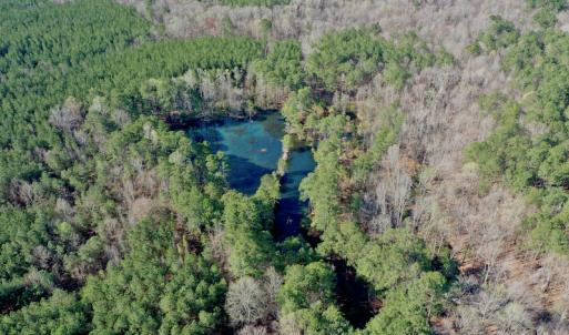 Photo #13 of SOLD property in OFF HWY 46, Garysburg, NC 138.8 acres