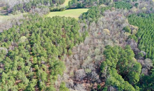 Photo #14 of SOLD property in OFF HWY 46, Garysburg, NC 138.8 acres