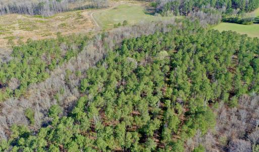 Photo #15 of SOLD property in OFF HWY 46, Garysburg, NC 138.8 acres