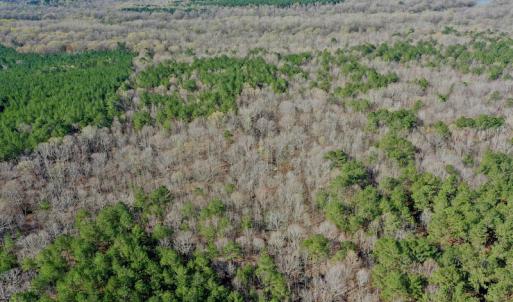Photo #16 of SOLD property in OFF HWY 46, Garysburg, NC 138.8 acres