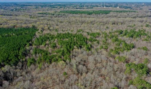 Photo #17 of SOLD property in OFF HWY 46, Garysburg, NC 138.8 acres