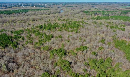 Photo #18 of SOLD property in OFF HWY 46, Garysburg, NC 138.8 acres