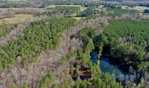Photo #19 of SOLD property in OFF HWY 46, Garysburg, NC 138.8 acres