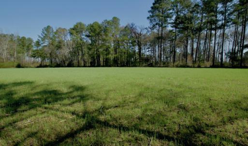 Photo #22 of SOLD property in OFF HWY 46, Garysburg, NC 138.8 acres