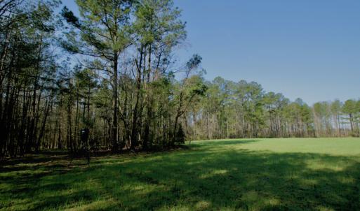 Photo #23 of SOLD property in OFF HWY 46, Garysburg, NC 138.8 acres