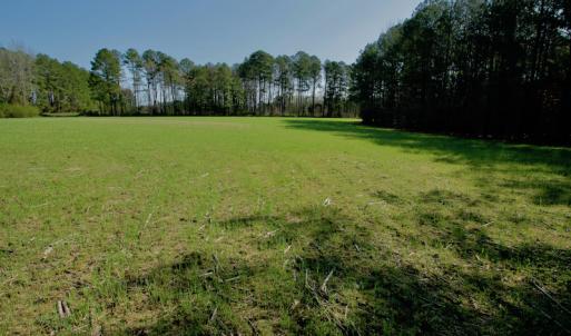 Photo #24 of SOLD property in OFF HWY 46, Garysburg, NC 138.8 acres
