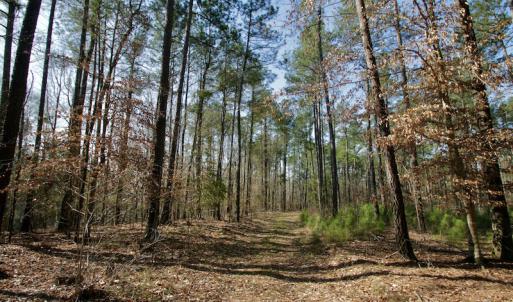 Photo #27 of SOLD property in OFF HWY 46, Garysburg, NC 138.8 acres