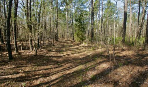 Photo #29 of SOLD property in OFF HWY 46, Garysburg, NC 138.8 acres