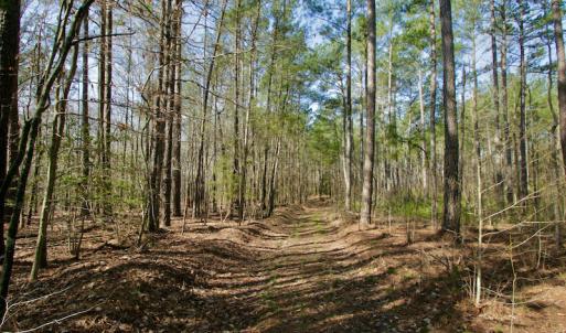 Photo #30 of SOLD property in OFF HWY 46, Garysburg, NC 138.8 acres