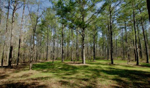 Photo #32 of SOLD property in OFF HWY 46, Garysburg, NC 138.8 acres