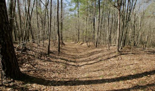 Photo #33 of SOLD property in OFF HWY 46, Garysburg, NC 138.8 acres