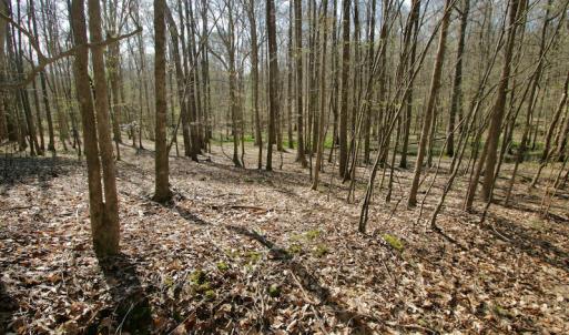 Photo #34 of SOLD property in OFF HWY 46, Garysburg, NC 138.8 acres