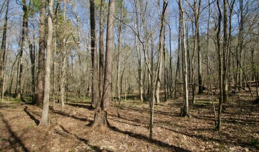 Photo #35 of SOLD property in OFF HWY 46, Garysburg, NC 138.8 acres