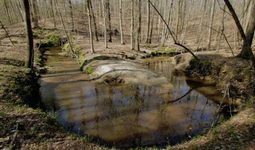 Photo #36 of SOLD property in OFF HWY 46, Garysburg, NC 138.8 acres