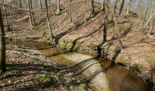 Photo #37 of SOLD property in OFF HWY 46, Garysburg, NC 138.8 acres