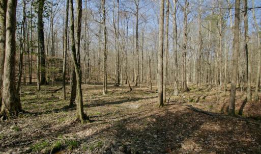 Photo #38 of SOLD property in OFF HWY 46, Garysburg, NC 138.8 acres