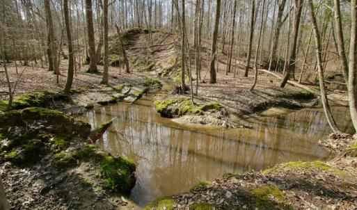 Photo #39 of SOLD property in OFF HWY 46, Garysburg, NC 138.8 acres