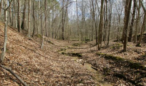 Photo #40 of SOLD property in OFF HWY 46, Garysburg, NC 138.8 acres