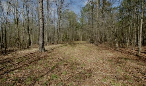 Photo #41 of SOLD property in OFF HWY 46, Garysburg, NC 138.8 acres