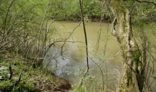 Photo #42 of SOLD property in OFF HWY 46, Garysburg, NC 138.8 acres