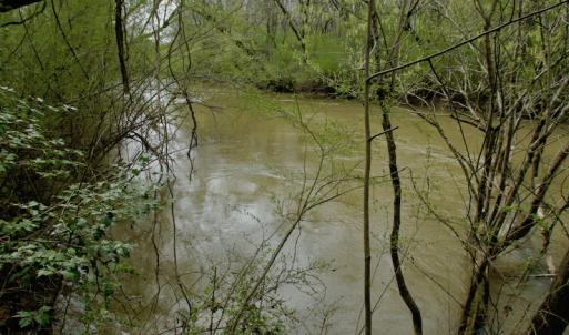 Photo #43 of SOLD property in OFF HWY 46, Garysburg, NC 138.8 acres
