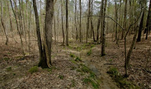 Photo #44 of SOLD property in OFF HWY 46, Garysburg, NC 138.8 acres