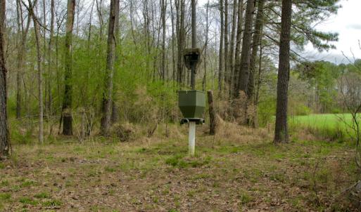 Photo #46 of SOLD property in OFF HWY 46, Garysburg, NC 138.8 acres