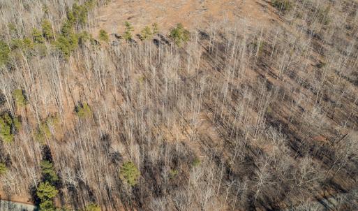 Photo #23 of Lot-B Lake Shore Drive & Lot-38B Oakwood Lane, Roxboro, NC 24.7 acres