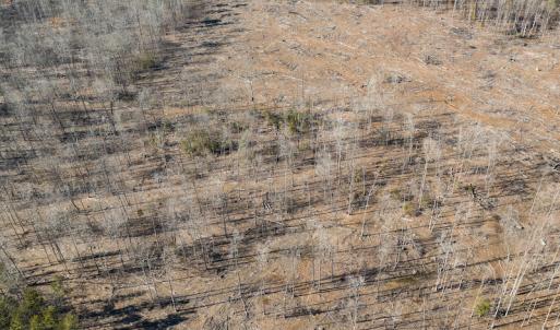 Photo #29 of Lot-B Lake Shore Drive & Lot-38B Oakwood Lane, Roxboro, NC 24.7 acres