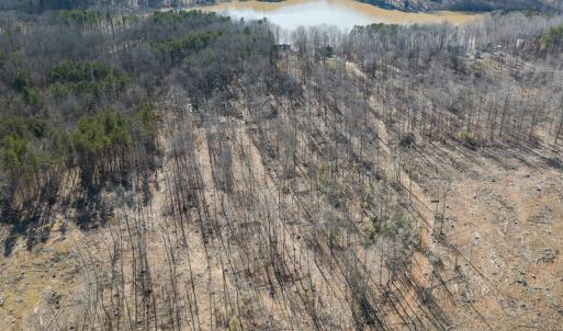 Photo #32 of Lot-B Lake Shore Drive & Lot-38B Oakwood Lane, Roxboro, NC 24.7 acres