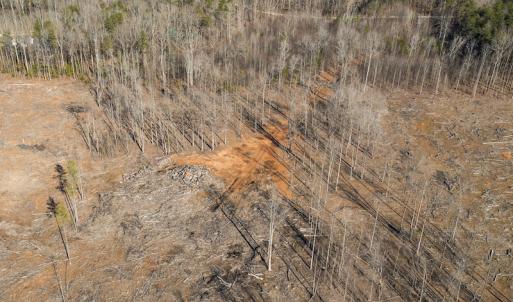 Photo #34 of Lot-B Lake Shore Drive & Lot-38B Oakwood Lane, Roxboro, NC 24.7 acres