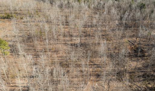 Photo #35 of Lot-B Lake Shore Drive & Lot-38B Oakwood Lane, Roxboro, NC 24.7 acres