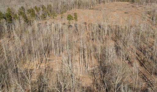 Photo #37 of Lot-B Lake Shore Drive & Lot-38B Oakwood Lane, Roxboro, NC 24.7 acres