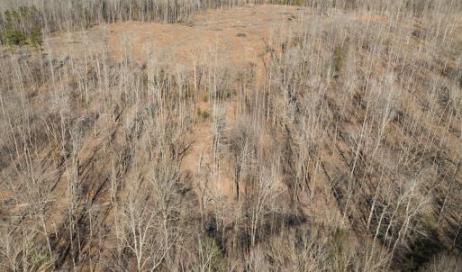 Photo #38 of Lot-B Lake Shore Drive & Lot-38B Oakwood Lane, Roxboro, NC 24.7 acres