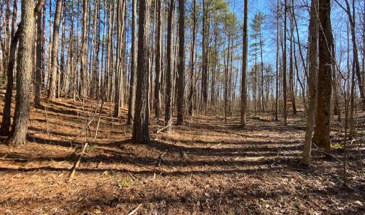 Photo #44 of Lot-B Lake Shore Drive & Lot-38B Oakwood Lane, Roxboro, NC 24.7 acres
